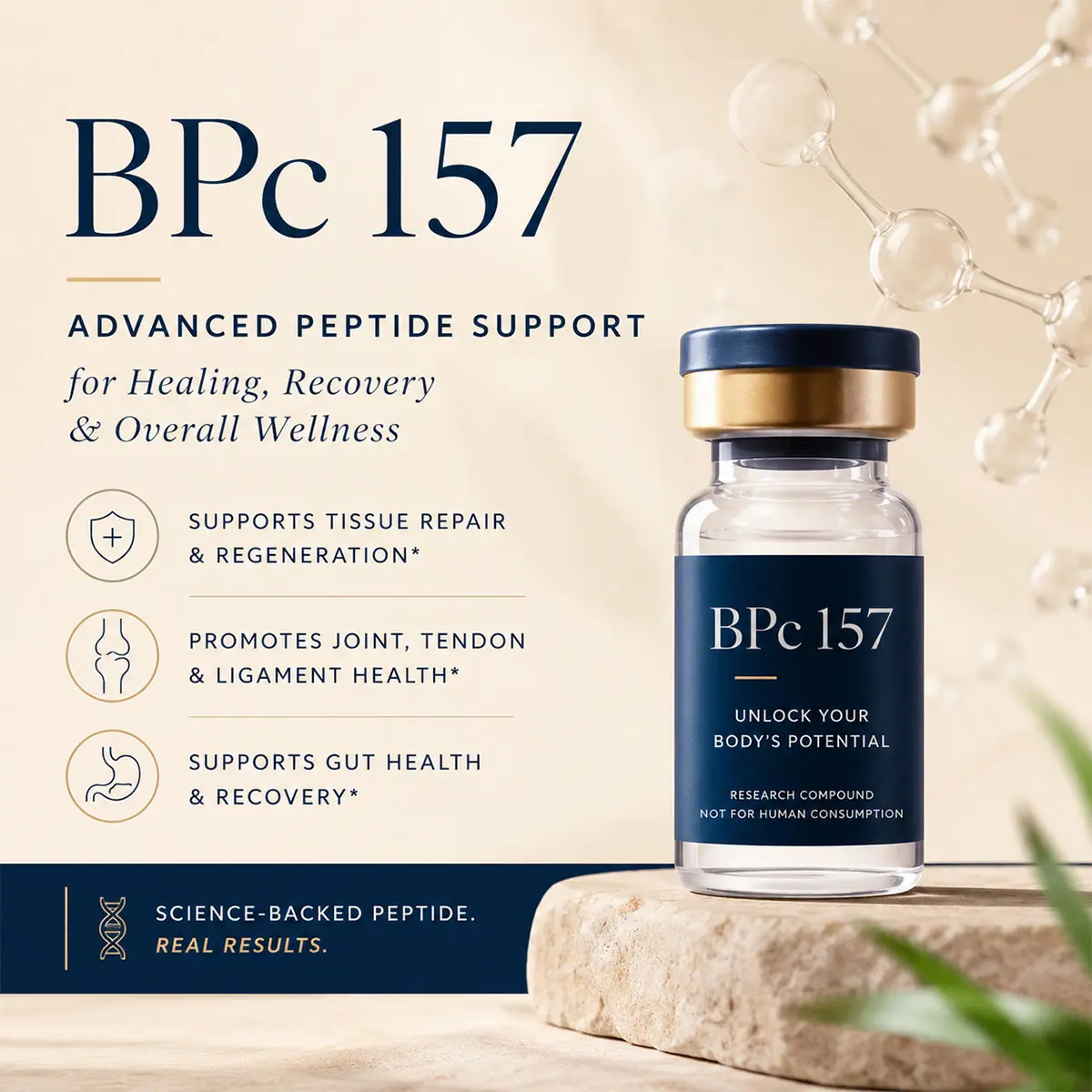 BPC 157 peptides, also known as Body Protecting Compound 157, consist of a chain of 15 amino acids and originate from human gastric juices.