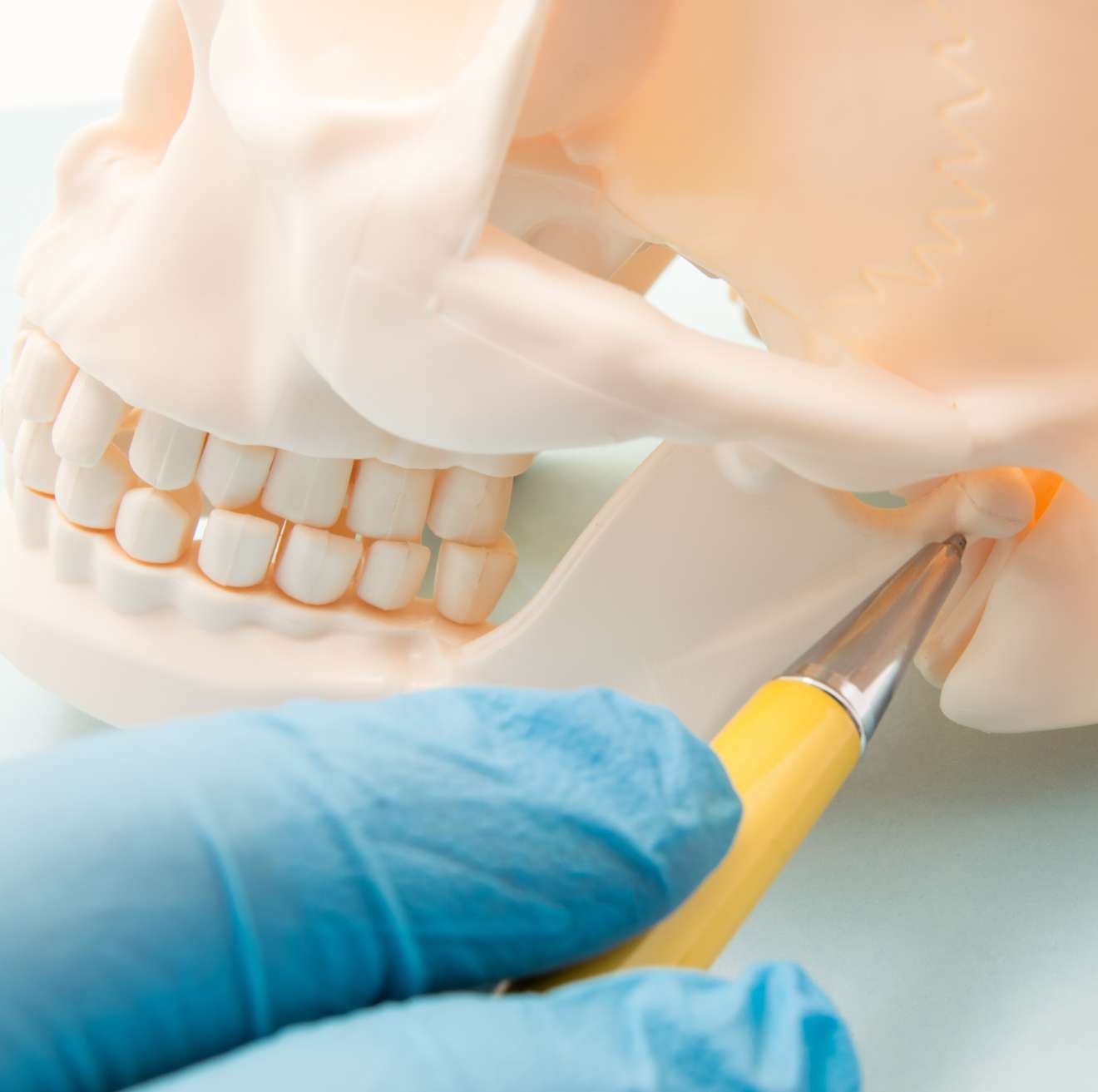 In simple terms, TMJ refers to the temporomandibular joint where the skull (temporal bone) connects to the jawbone (mandible).